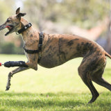 All about 3D printed prosthetics