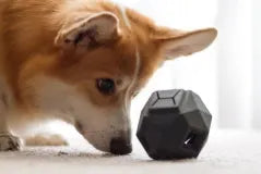 Are 3d Printed Items Safe for Pets?