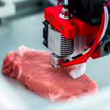 Can You 3D Print Meat?
