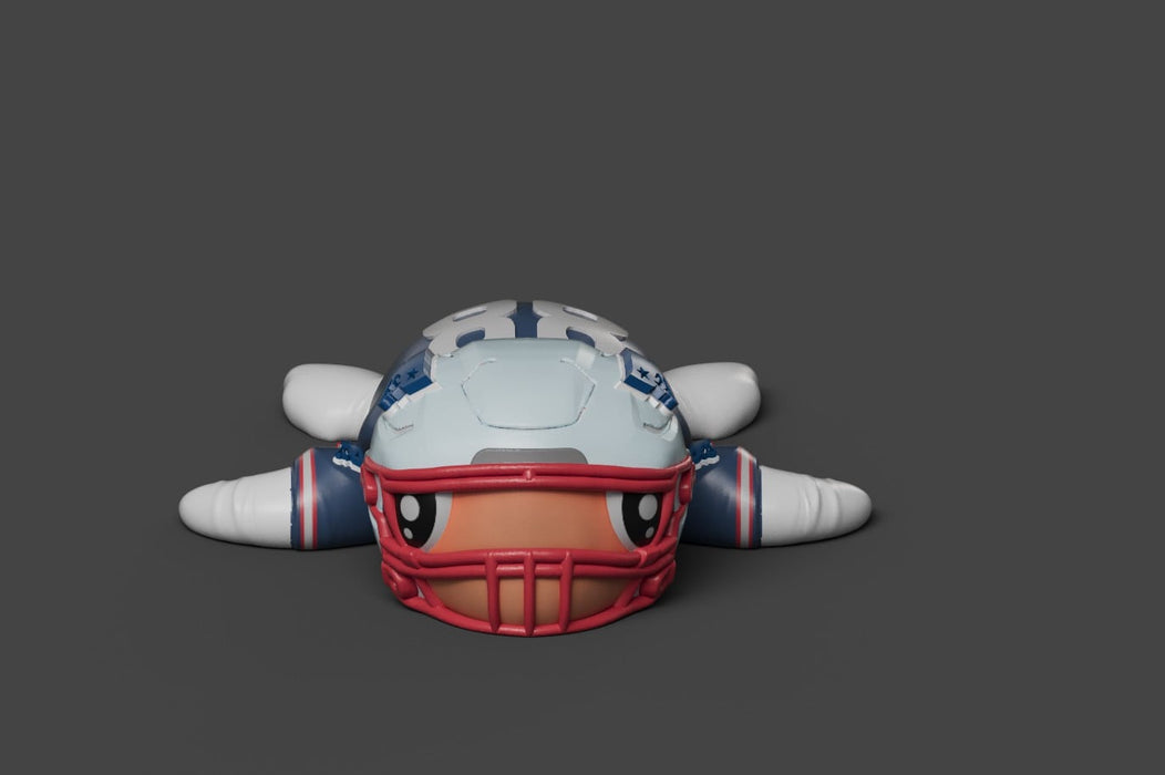 Football Turtle New England Patriots