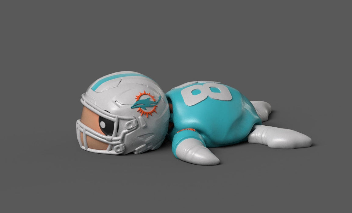 Football Turtle Miami Dolphins