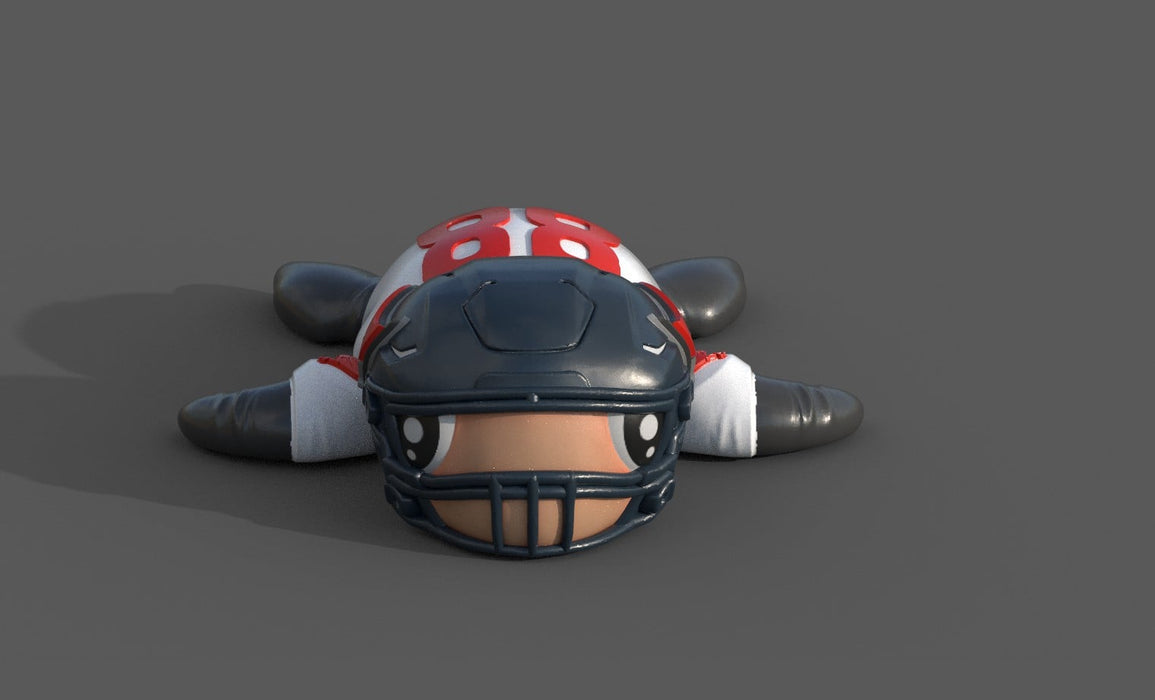 Football Turtle Tampa Bay Buccaneers