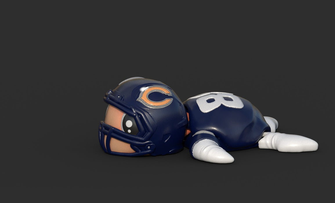 Football Turtle Chicago Bears