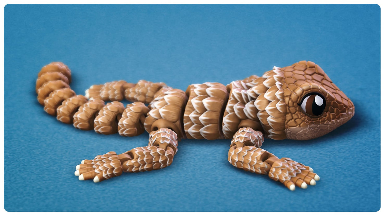Flexi Girdled Lizard