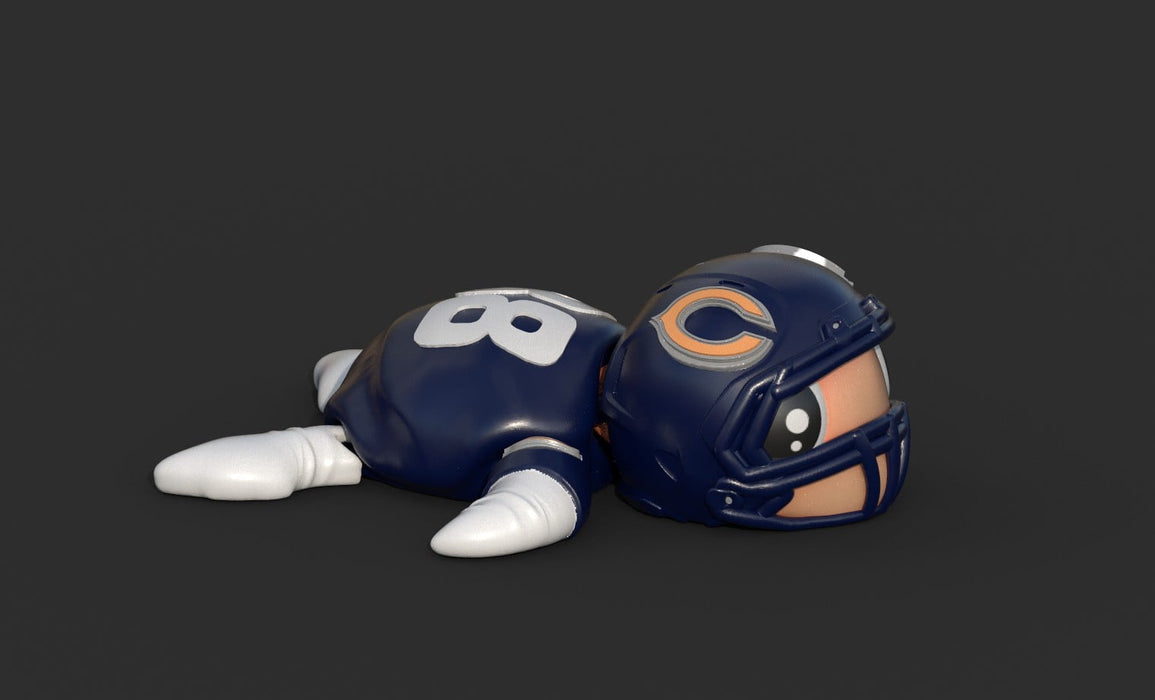 Football Turtle Chicago Bears