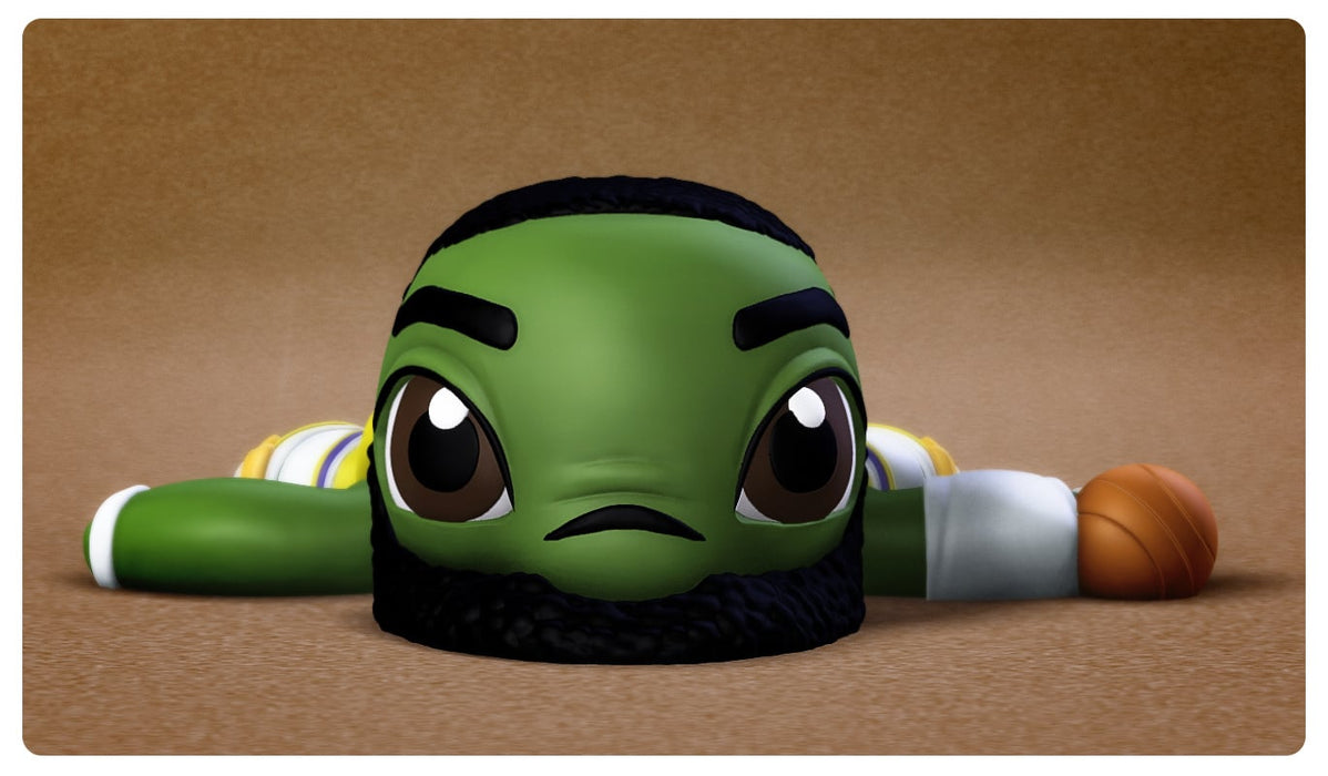 LeBron James Turtle