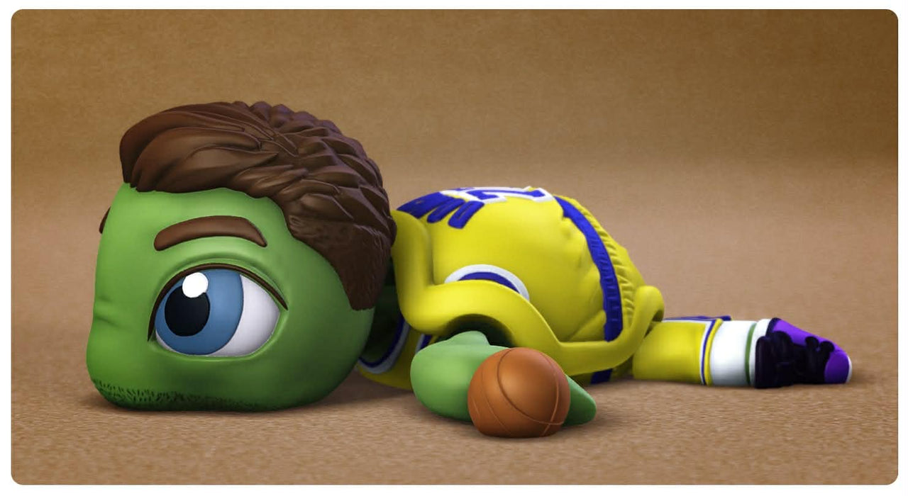 Basketball Turtle Luca