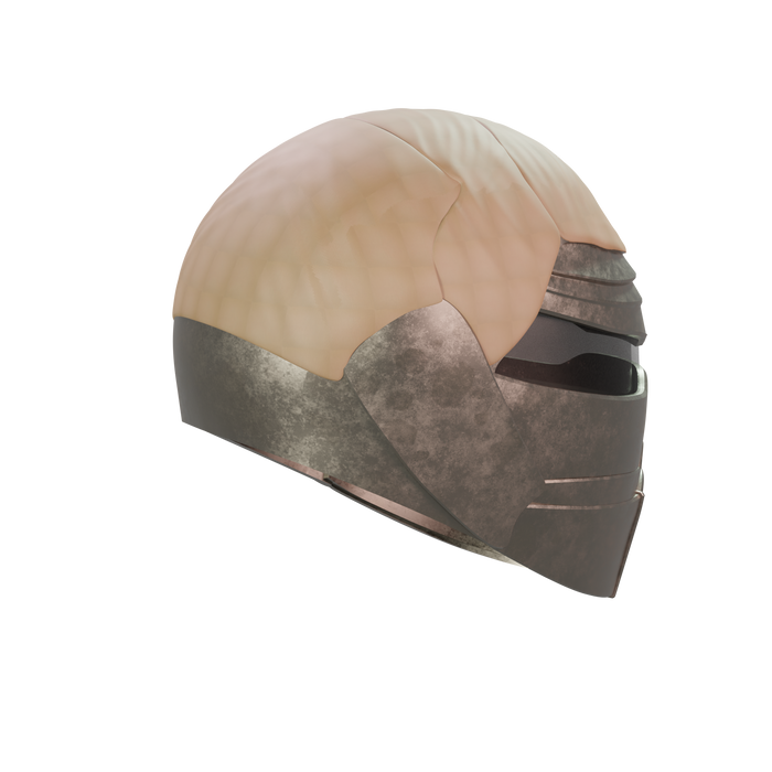 Fremen Helmet Dune
