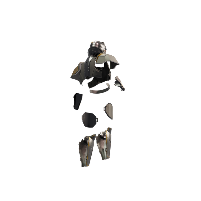 Helldivers Hero of the Federation Armor Set