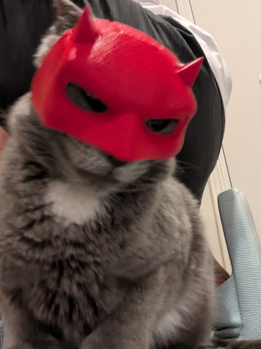 3d Printed Daredevil Cat Mask