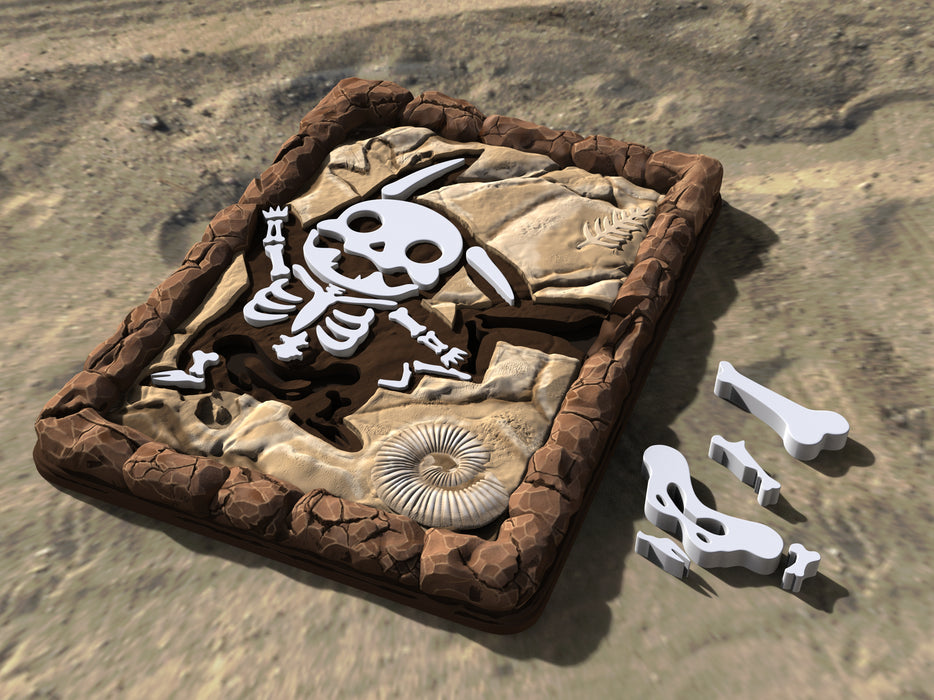 Pikachu Fossil Puzzle
