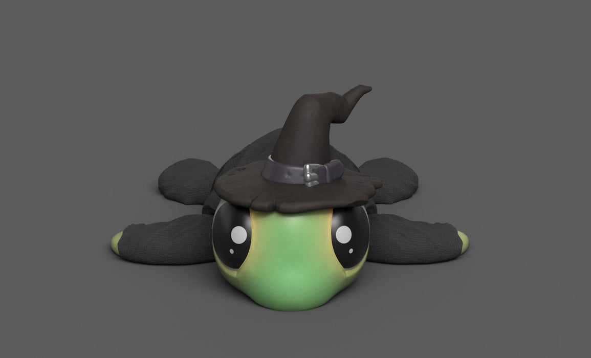 Halloween Turtle Witch