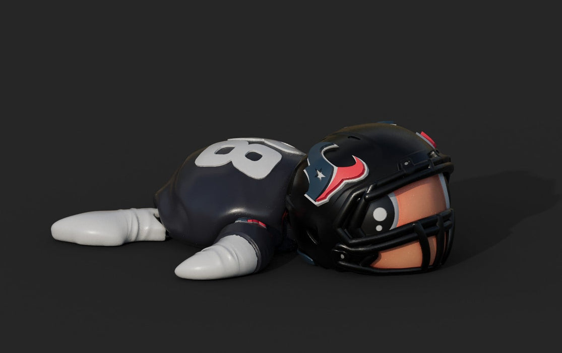 Football Turtle Houston Texans