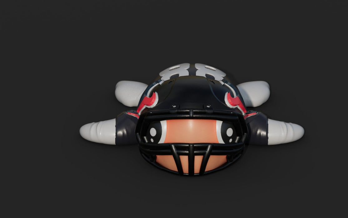Football Turtle Houston Texans