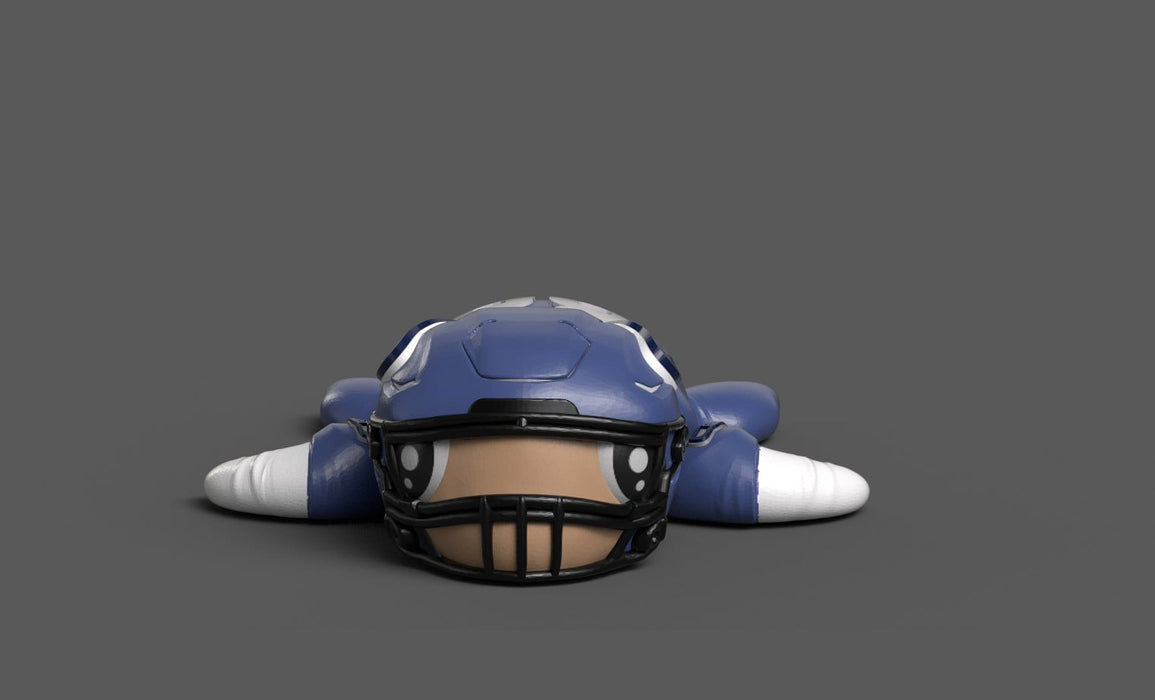 Football Turtle Seattle Seahawks