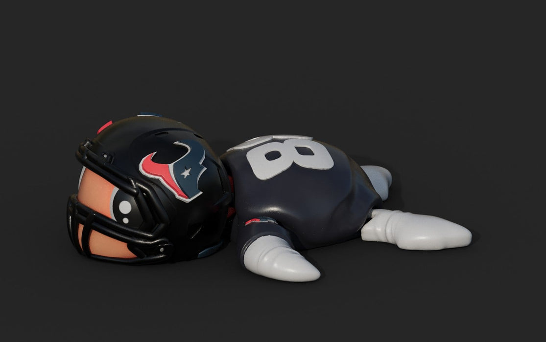 Football Turtle Houston Texans