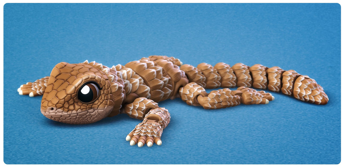 Flexi Girdled Lizard