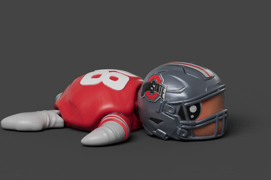 Football Turtle Ohio State Buckeyes